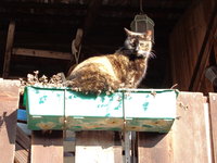 DSC00271.JPG