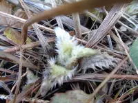 DSC00279.webp