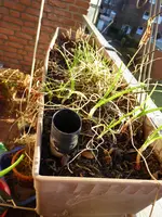P1000204.JPG