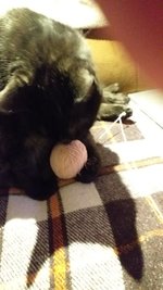 20230215_185706.jpg