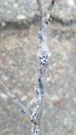 20230215_165647.jpg