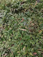 IMG_20230216_162812.webp