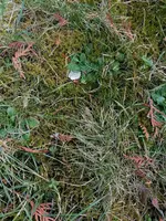 IMG_20230216_162831.webp