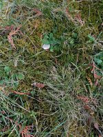 IMG_20230216_162831.jpg