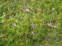 DSC02789.JPG