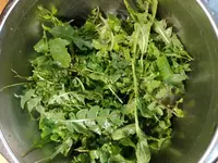 IMG_20230218_185431.webp