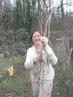 IMG_20230218_145026.webp