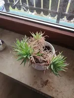 IMG_20230219_091525.webp IMG_20230219_091525.webp