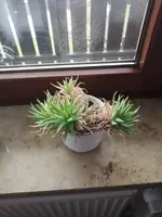 IMG_20230219_091532.webp IMG_20230219_091532.webp