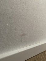 7329380A-9303-4B1A-9687-01C552036FB5.jpeg