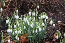 Feb.  0323.webp