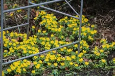 Feb.  0423.webp