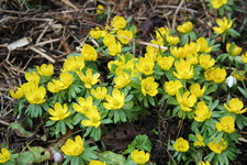 Feb.  0723.JPG