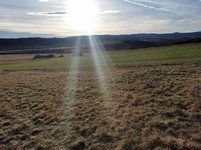 IMG_20230218_161019.jpg