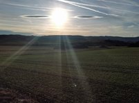 IMG_20230218_161449.jpg