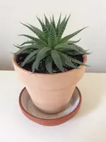 6B03E6E6-BE7B-4ED9-9A50-FC9ABF0CB830.webp 6B03E6E6-BE7B-4ED9-9A50-FC9ABF0CB830.webp