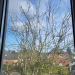 Eberesche Foto 3.webp
