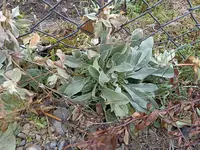 IMG_20230128_104905.webp