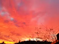 1676880901494 (2).webp