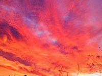 1676882154739 (2).jpg