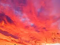 1676882154739 (2).webp