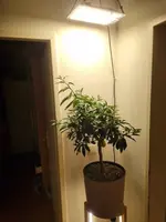20230221_063731.webp
