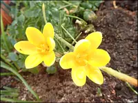 c047.webp