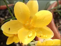c048.webp