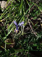 IMG_20230221_140049.webp