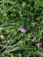 IMG_20230221_140102.webp