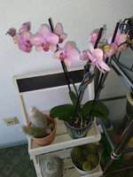 IMG_20230221_140757.jpg