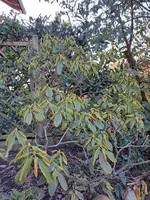 20230221_092146.webp