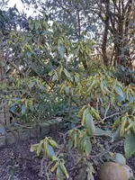 20230221_092157.webp