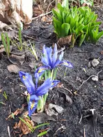 20230219_103024.webp