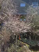 20230215_133833.webp