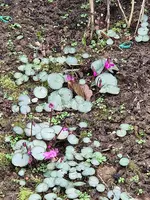 20230127_133708.webp