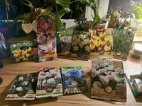IMG_20230222_205524.webp