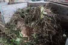 Kompost  0323.webp