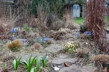 DSCN4582.webp