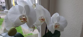 20230224_122841.jpg