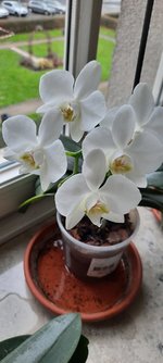 20230224_122819.jpg