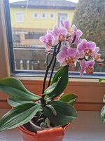 IMG_20230224_134351.jpg