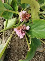 IMG_20230224_104459.webp