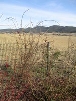 IMG_0140.JPG