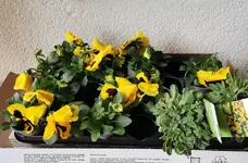 IMG_20230224_171437 (1).webp