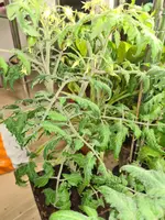 20230225_184826.webp