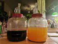 IMG_20230224_222756.webp