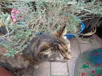 DSC00288.webp