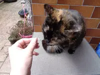 DSC00289.webp