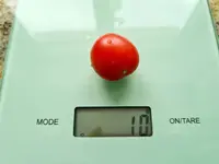 20230226_115407.jpg